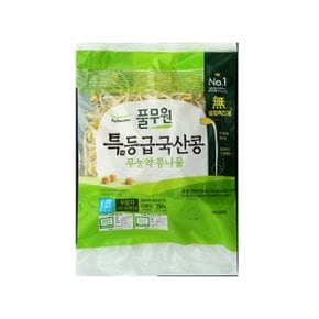 특등급 국산콩 무농약 콩나물250g