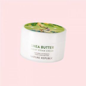 쉐어버터 스팀크림 모이스트 (중건성용) 100ml 2058379021 4901968