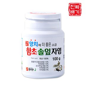 진짜배기 함초솔잎자염 양치소금 100g