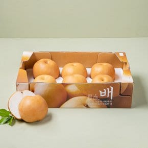 신고배 5kg 박스