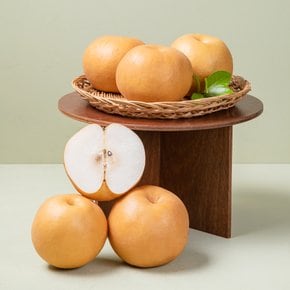 신고배 5kg 박스