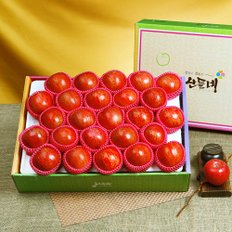 산들네 [바로배송][경상북도][달고 맛있는 영주사과]산들네 꿀맛 사과 5kg 25과내외