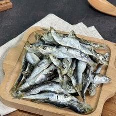 남해안 햇 국물용 건 정어리 500g 청어 멸치 육수용