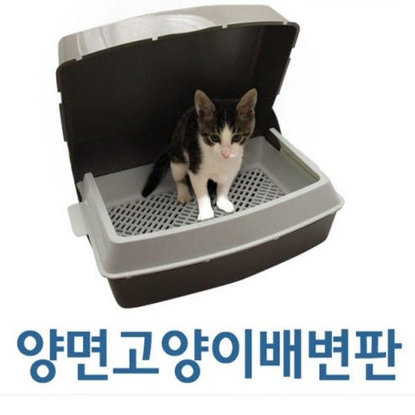확대된 대표 대표이미지