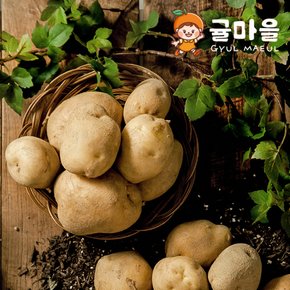 포슬포슬 국내산 감자 3kg 왕특