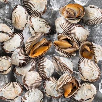 명가일품 당일조업 보성 벌교여자만 새꼬막 상품 2kg