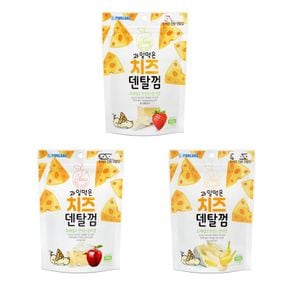 포켄스 과일먹은 치즈덴탈 강아지껌 100g[32333282]