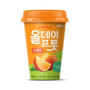 서울우유 올데이프룻 오렌지 250ml X 10개