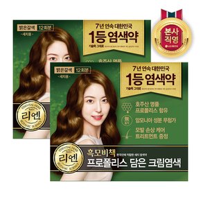 리엔 흑모비책 프로폴리스 염색약 480g 밝은갈색 x 2개