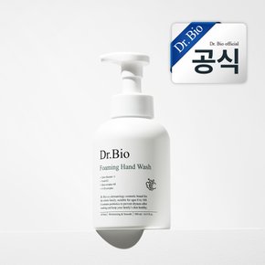 버블 핸드워시 500ml