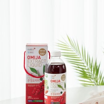 경북고향장터 사이소 [동문경농협 동로지점], 햇살열린문경오미자청, 1리터X2병