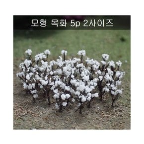 [포레스]모형목화꽃대