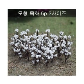 [포레스]모형목화꽃대