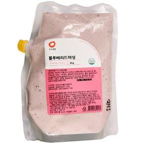 블루베리 드레싱 (2Kg)