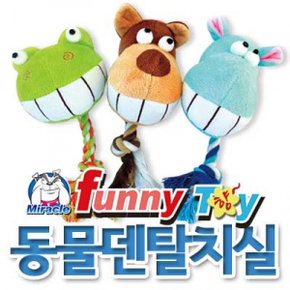 미라클 동물덴탈치실(색상 임의배송)