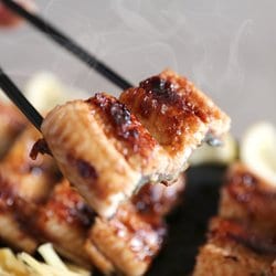 고창 풍천 자포니카 민물장어 손질후 700g + 소스 2종 + 초생강