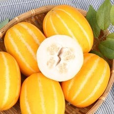  [오늘담은]성주참외 못난이 랜덤과 5kg 35-50과