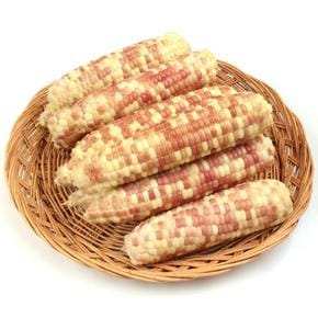 (m)냉동 홍찰옥수수 왕특대(16-18cm내외) 10개 /2세트 주문시 25개 발송