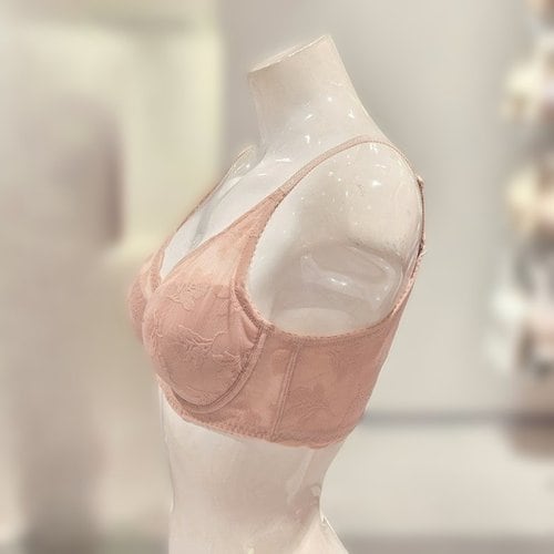 IMAGE6