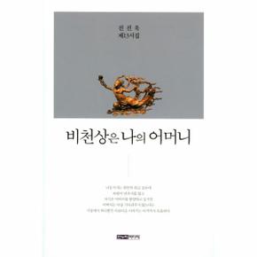 비천상은 나의 어머니 진진욱 제13시집