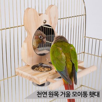 올블루 천연 원목 거울 모이통 횃대 앵무새 물통 장난감 횟대