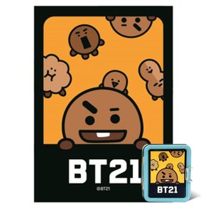 108피스 BT21 틴케이스 슈키 DW742933