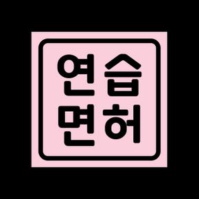 /리틀메테오 초보운전 자석 스티커 LMCM-070 SQ 연습면허