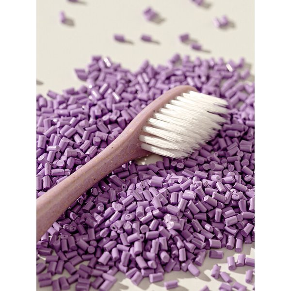 우드칩 양면미세모 칫솔 해질녘 바이올렛 x 1개