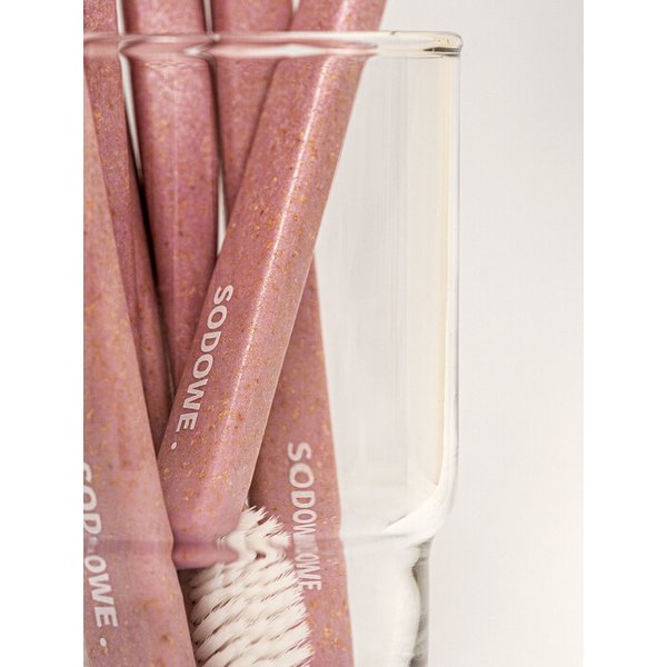 우드칩 양면미세모 칫솔 해질녘 바이올렛 x 1개