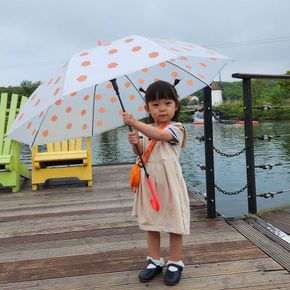 제주 감귤 장우산 초등학생 저학년 고학년 어린이
