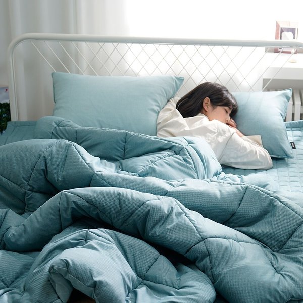 아밍 로빈 세미 마이크로 차렵이불 S 베개세트