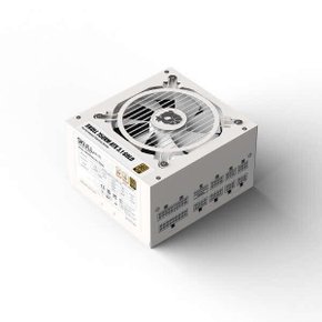 SKULL 750XM 풀모듈러 ATX3.1 80PLUS골드 화이트