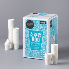 소주컵 800개