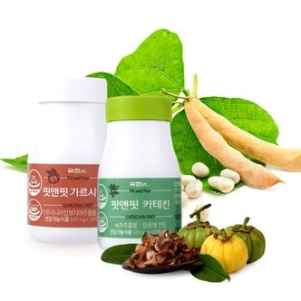 유한메디카 핏앤핏 가르시니아 /  카테킨 녹차추출물 다이어트 500mg x 120정_ 비타민 C 체지방감소 지방분해 탄수화물컷팅