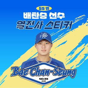배찬승 선수 유니폼 마킹지 열스티커 패브릭 의류 커스텀 프로야구 굿즈
