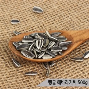 건강알곡 탱글 해바라기씨 500g 앵무새 햄스터 소동물