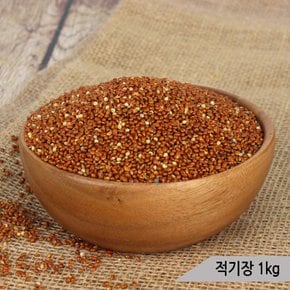 건강알곡 적기장 1kg 앵무새 햄스터 모이 사료 간식