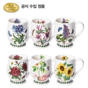 보타닉 가든 브리스톨머그 HM 0.35L 6P(B,C)