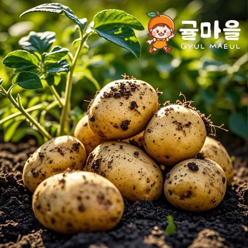 추가5이미지