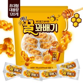 쥬르본 미니꿀꽈배기 700g(약 120개)