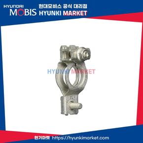 터미널 배터리 (372502E100)
