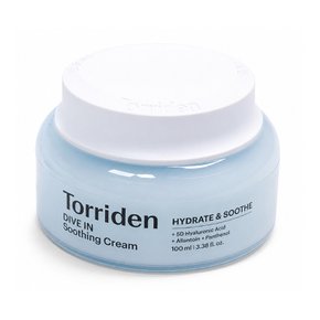 다이브인 저분자 히알루론산 수딩 크림 100ml