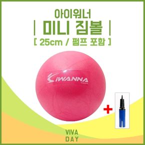 BN 아이워너 미니 짐볼 25cm (펌프 포함)