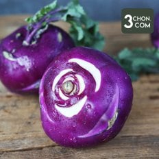 [삼촌농장] 아삭아삭 수분 많은 햇 제주 콜라비 3kg