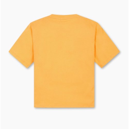 IMAGE3
