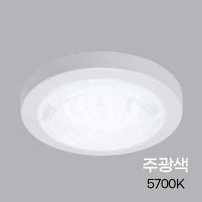 원형 LED 직부등 15W 주광