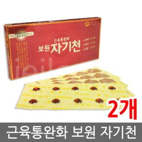 보원 자기천 2개/자기파스/빠삐방/안아파/자석파스