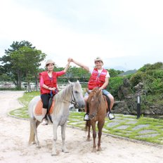 제주 더마파크 이용권