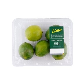 멕시코산 라임 480g 팩