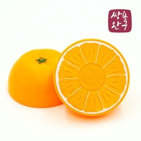 내맘대로 골라보는 재미 /소꼽놀이  -  귤
